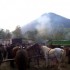 Livestock and horses fair in Turbe