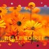 Douce nuit mes loulous adorés