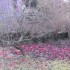 Faites de beaux rêves, à demain