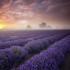 Douce nuit mes amis, faites de beaux rêv