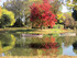 PROMENADE AUTOMNALE AU BOIS DE VINCENNES