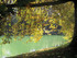 CHATEAU DE FONTAINEBLEAU - 2 -