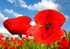 LE CRITERE DU SUCCES DANS LA VIE...