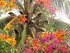 UNE SYMPHONIE DE TOUTES LES  COULEURS AU