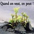 POSITIF A CHAQUE INTANT