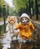 VOUS ALLEZ ADORER CE CHATON !