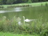 LES ANGES