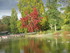ESCAPADE AU  BOIS DE VINCENNES - 2 -