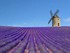 ON RECOLTE CE QUE L'ON VIBRE - partie 1