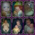 petit montage de mes loulous