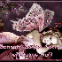 une douce nuit a vous toutes e
