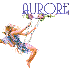 coucou