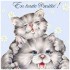 bonjour a tout le monde