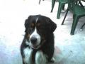 tjs notre tite mascotte!!!