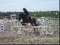 Concours