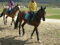 ~~Les E1 et les chevaux~~