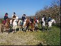 ~~ Pose photos groupe des poneys~~