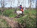 ~~ Fossé au cross ~~