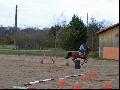 ~~photos des chevaux à l'équifun~~