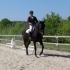 Dressage des E2
