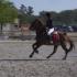 Concours Open1