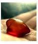 mmm l'amour.........
