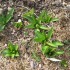 Toilette de printemps : premi