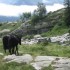 Ariège : ça continue !