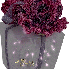 aimer d'amitie