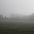 Journée sous le brouillard (D