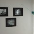 1ère exposition sur mon lieu 
