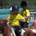 WEEK END HORSEBALL A ST GEORGE