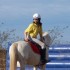 MATCH DE HORSE BALL (19/11/2006)