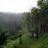 Les Jardins de Balata, le merc