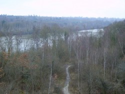 La Seine vue de la forêt nationale de Rougeau