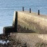 COTES LORIENTAISES