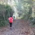 CHEMIN DE PROMENADE