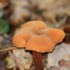 TOURS ET DETOURS DANS LA NATUR