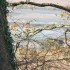 TOUJOURS LA NATURE