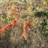 TOUJOURS LA NATURE