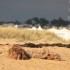LA BARRE D'ETEL (MORBIHAN) sui