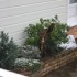 NEIGE EN MORBIHAN