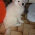 HERMINE NOTRE FUTURE GARDIENNE