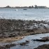 littorale Riantecois (Morbihan