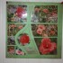 PAGES DE SCRAPBOOKING EUROPEEN