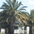 SAINT-TROPEZ