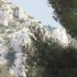 LA NATURE COMME JE LA VIS