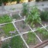 JARDIN DE PLANTS AROMATIQUES