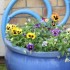 IMPATIENTS ET AUTRES FLEURS DU