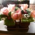 DECORATION DE TABLE FLEURIE